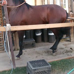 Meet your Posher, Javier